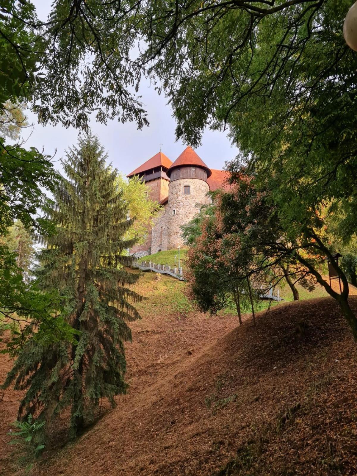 Old Town Road Leilighet Karlovac Eksteriør bilde